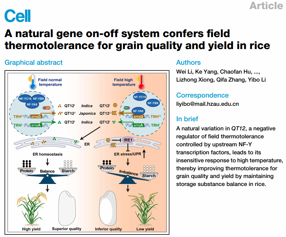 文章封面（李威供图）