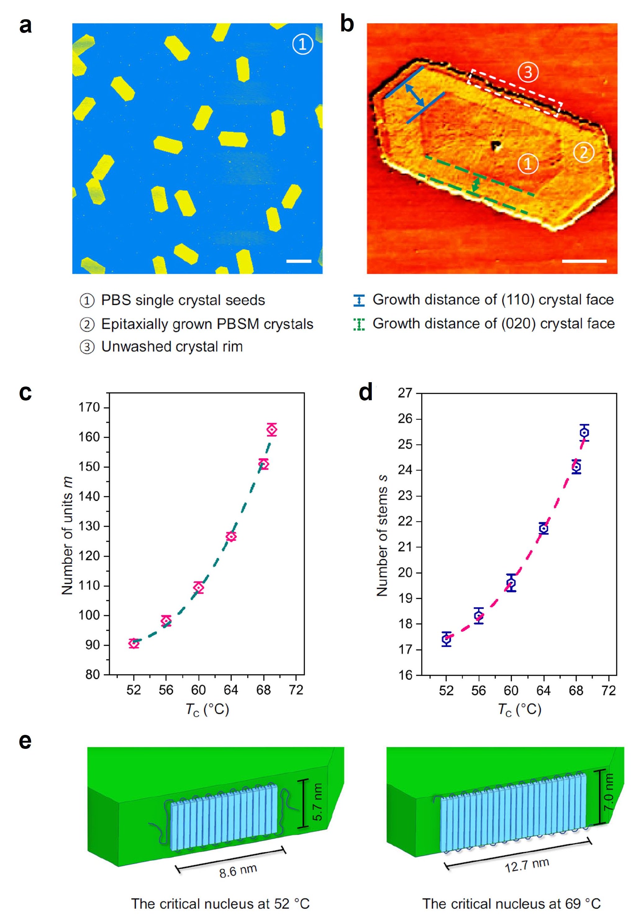 图2.不同结晶温度下聚丁二酸丁二酯（110）生长晶面上的次级临界晶核尺寸