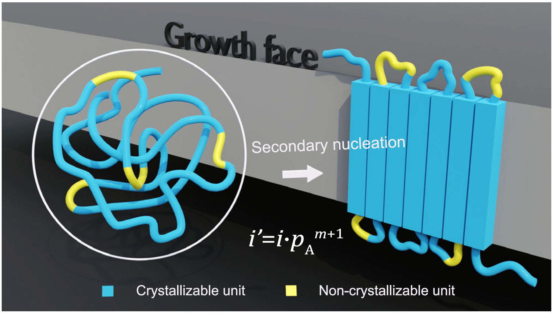 图1.基于概率推导出无规共聚物成核速率和次级临界晶核尺寸定量关系的理论方程