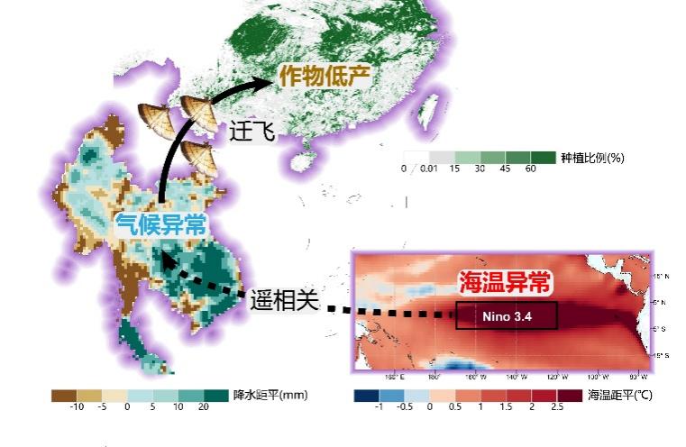Wang Xuhui的研究小组宣布ElNiño的新机制，导致中国