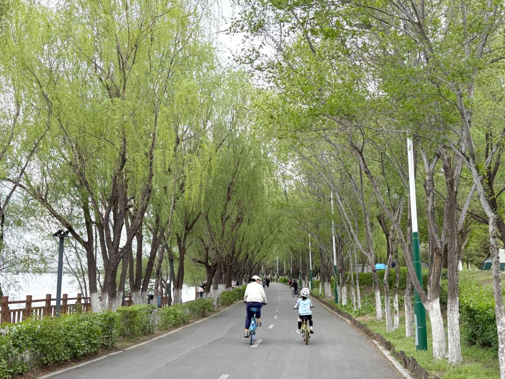 　　5月2日，市民在辽宁沈阳浑河公园骑行。新华社记者 周华 摄