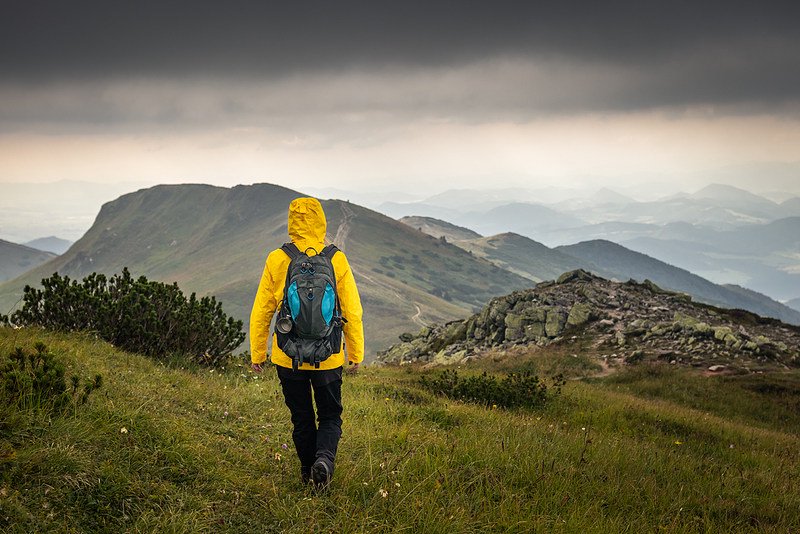 （图片来源：视觉中国）