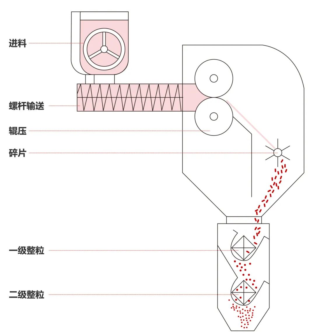 东富龙干法制粒机:无湿润工艺如何实现高密度造粒