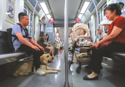 4.25万分之一的幸运：兰海波和他的导盲犬“拿铁”（兰波txt）