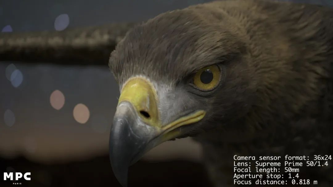 ▲ 蔡司 SP 虚拟镜头效果