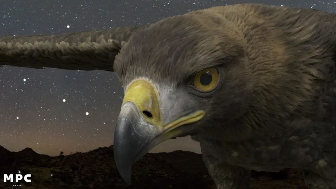 ▲ 无虚拟镜头效果