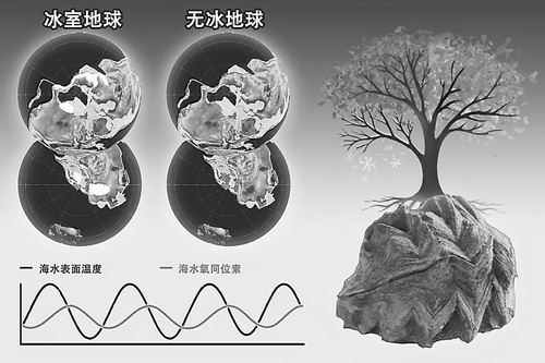 揭示了青海地西高原的“牡蛎日记”,宣布了气