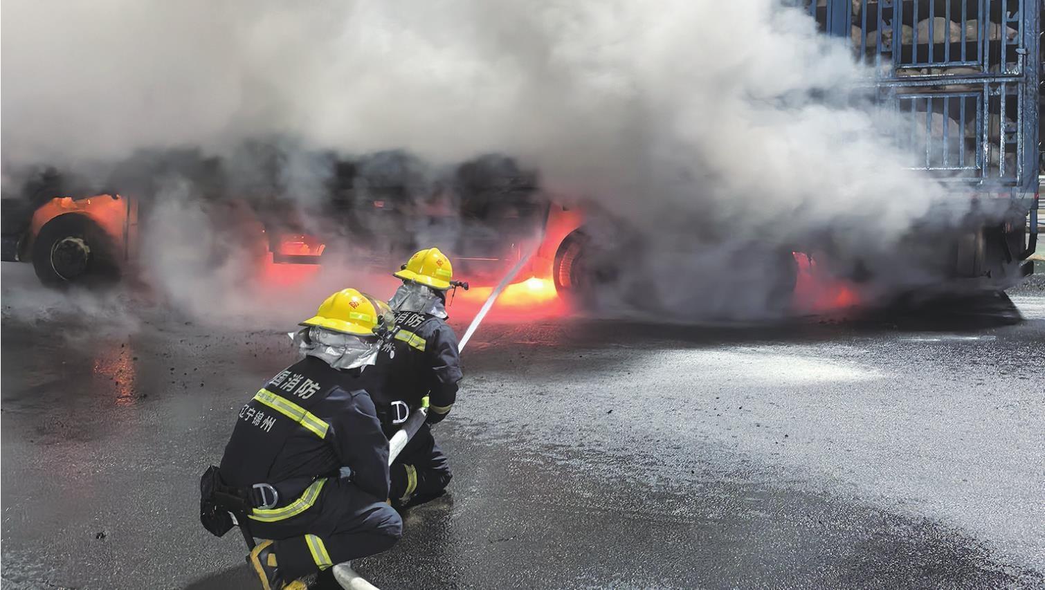 运羊车高速口起火 消防火速救羊