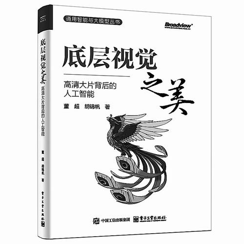 《底层视觉之美：高清大片背后的人工智能》，董超、胡锦帆著，电子工业出版社2025年2月出版，定价:109元