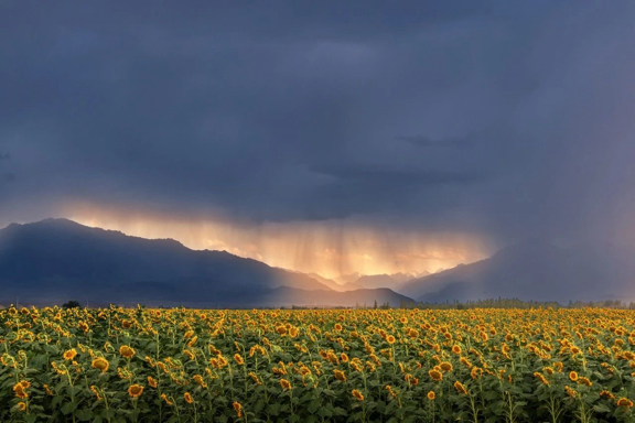 图片来源：视觉中国旗下500px摄影社区