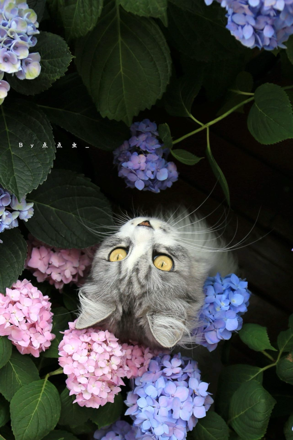 图片来源：视觉中国旗下500px摄影社区