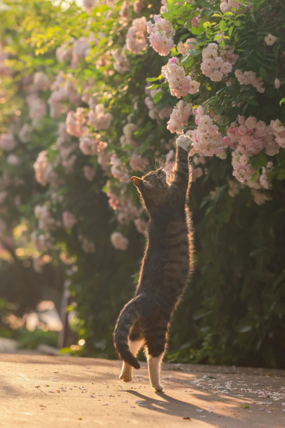 图片来源：视觉中国旗下500px摄影社区