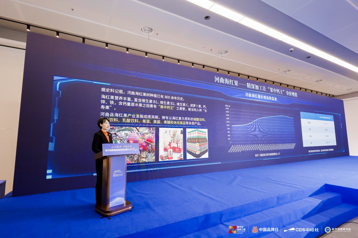 图为世界品牌莫干山大会活动现场