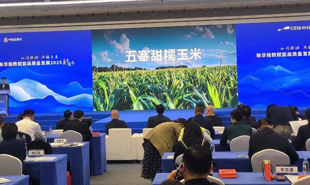 新华指数夏季发布会上五寨甜糯玉米经验推广环节。魏鹏飞摄