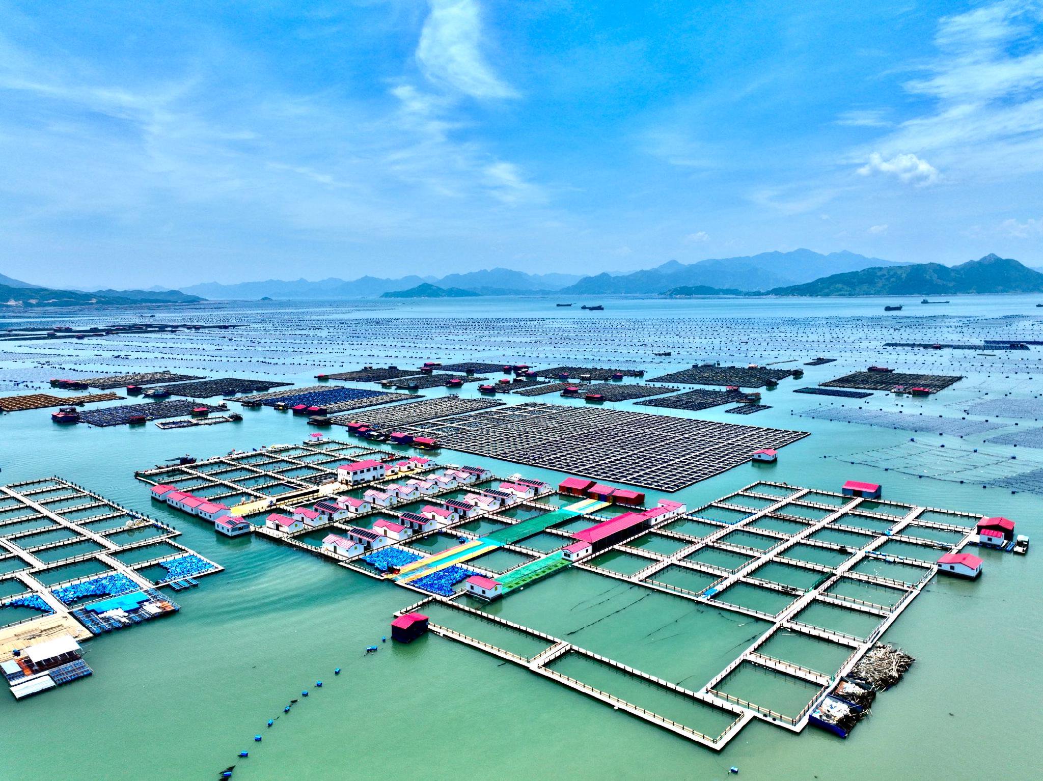 海洋牧场建设：绿色未来的蓝色希望