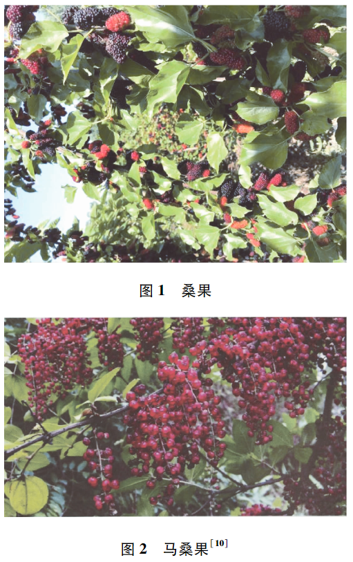 图片来源：参考文献[10]