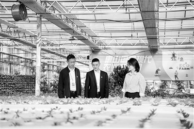 高质量发展践悟 | 推动基层监督更加有力有效