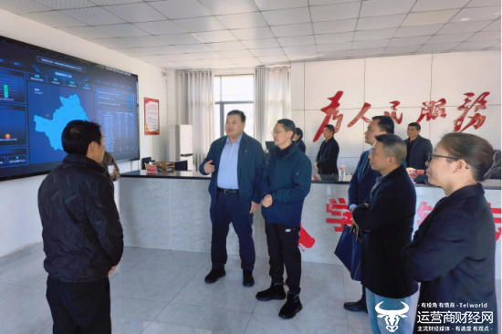 湖北移动总经理魏春辉在黄石排市村村委会调研数字乡村建设情况