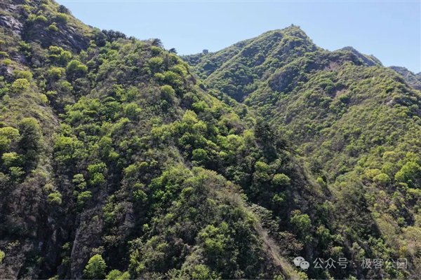  DJI Mavic 4 Pro 主摄/长焦/极限长焦画质对比 | 图片来源：极客公园