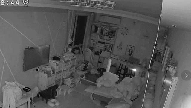 △图源：河南广播电视台