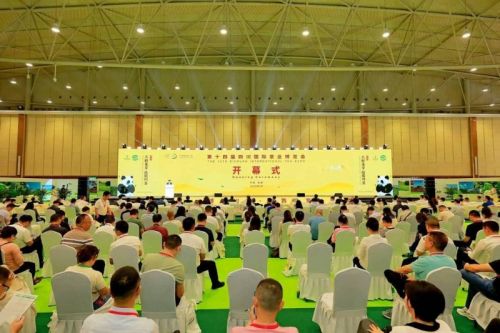 （图片来源：封面新闻）