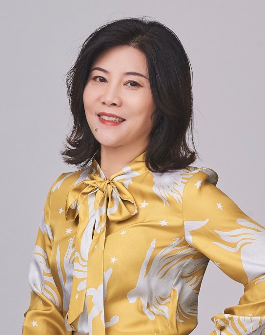 图：大公博创信息技术有限公司创始人、董事长夏丽华女士。