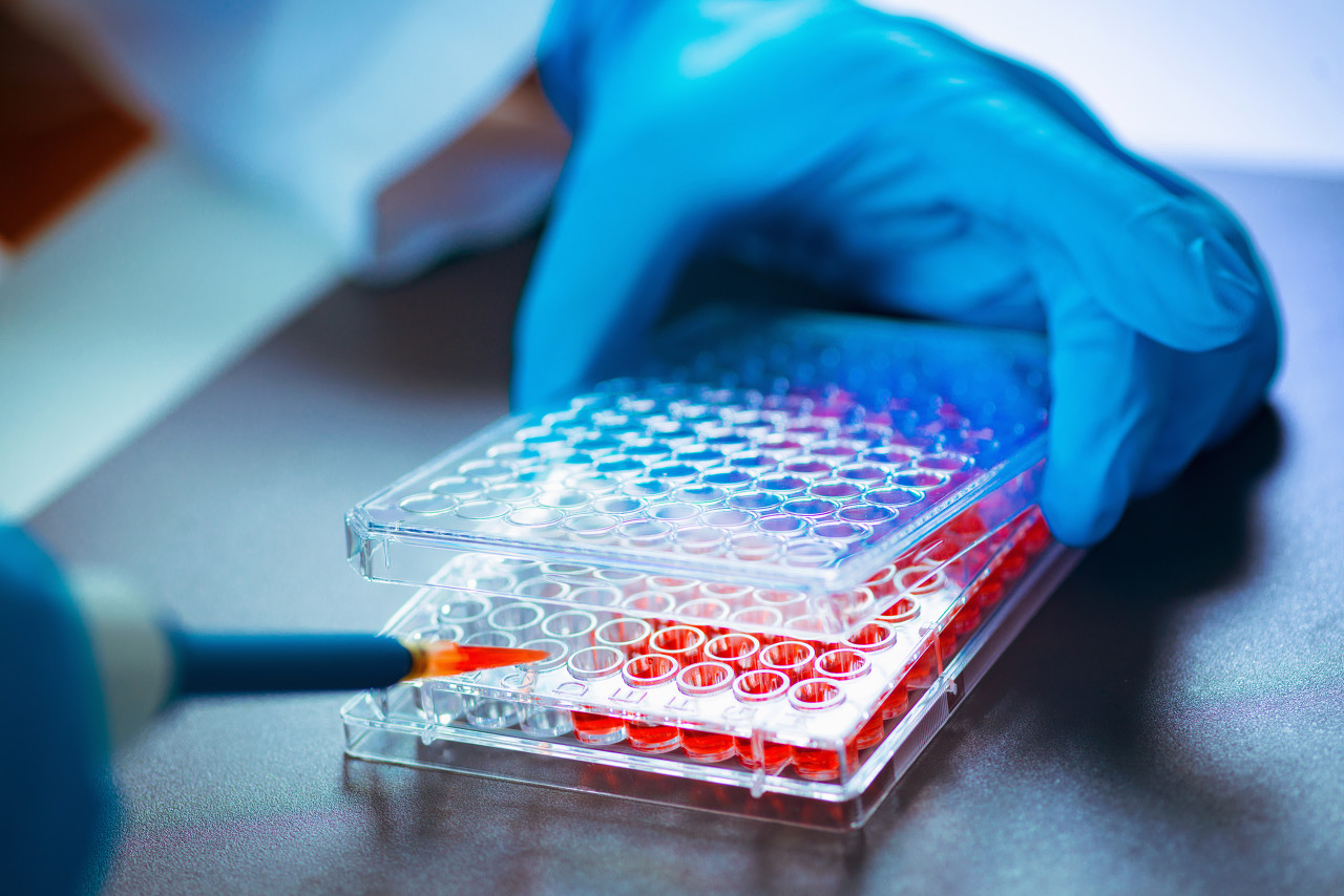 图片来源：图虫创意