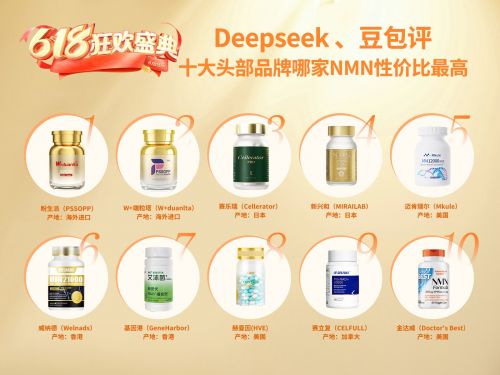 DeepSeek和Dubao 618 Xindong购物季的评论，十大顶级品
