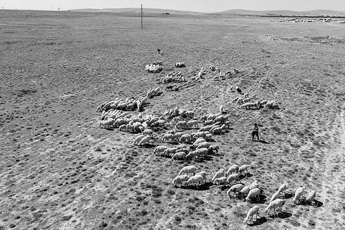 图片来源：YASIN AKGUL/AFP