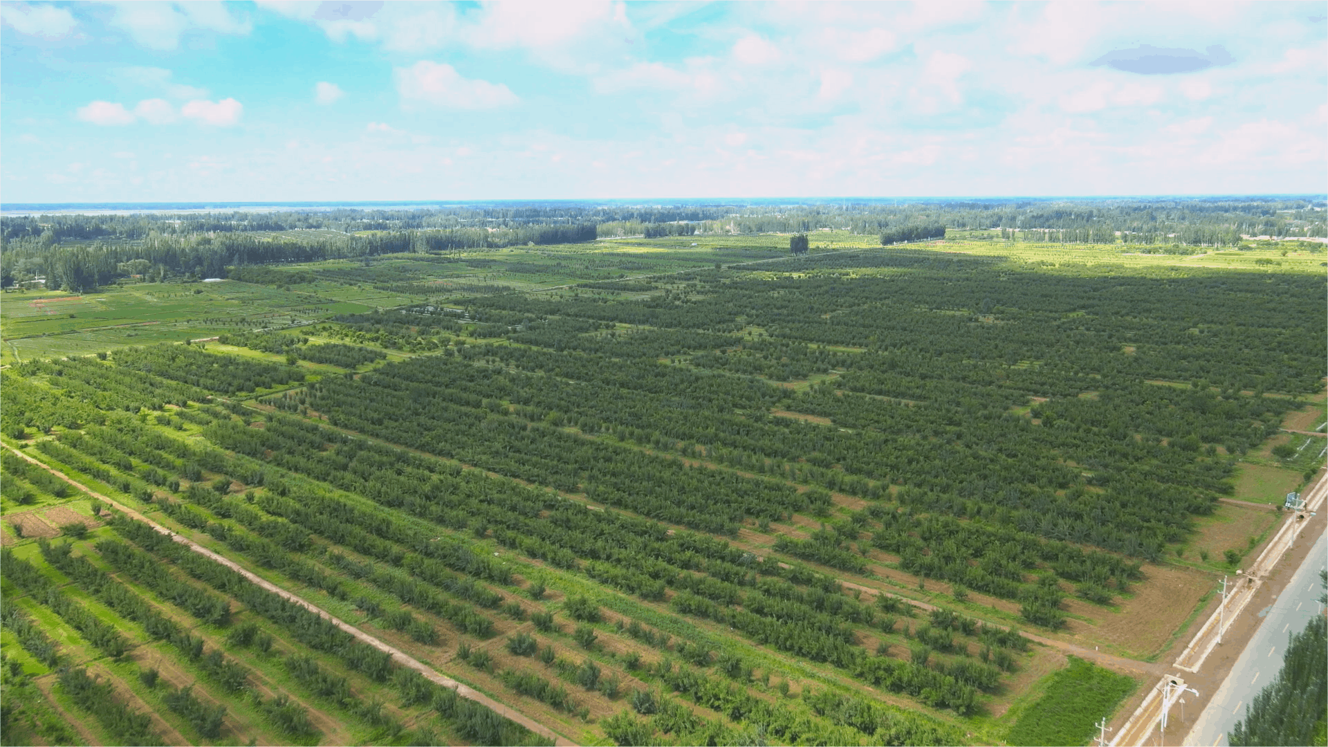 新梅园与智能监测系统  （央广网记者郭璁悦  制图）