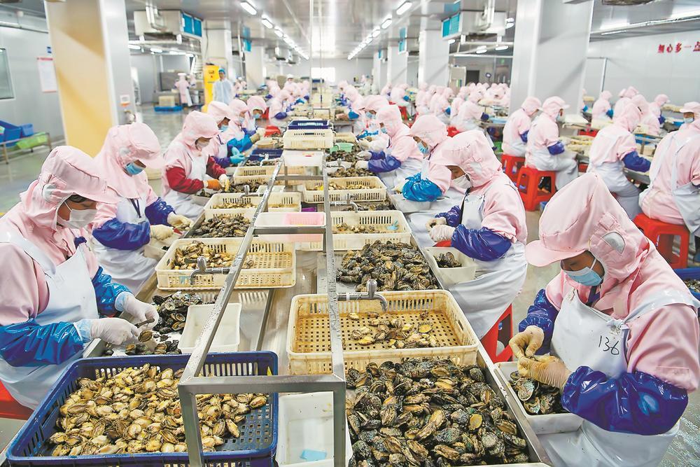 冷库与冷冻水产加工线（示意）