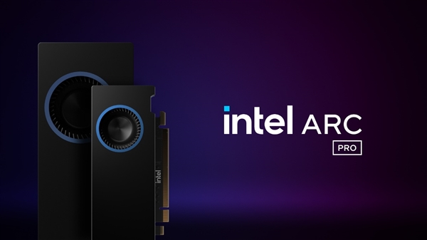 Ruixuan Pro B50/B60רҵͼοһ24GBƵIntelƵ˫GPU 48GB