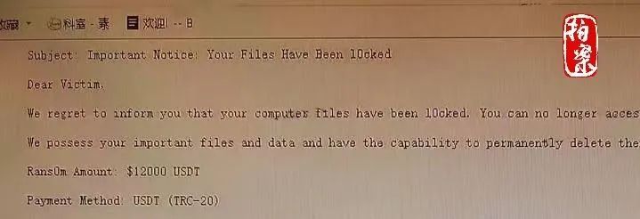 这是提示文件已经被锁定的勒索信息。（杭州市公安局上城分局供图）