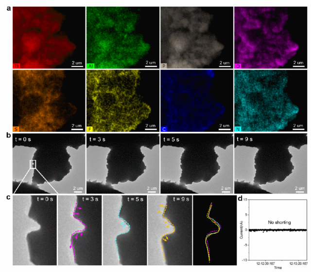 ▲ 有机 — 无机复合固态电解质中的稳定锂离子传输
