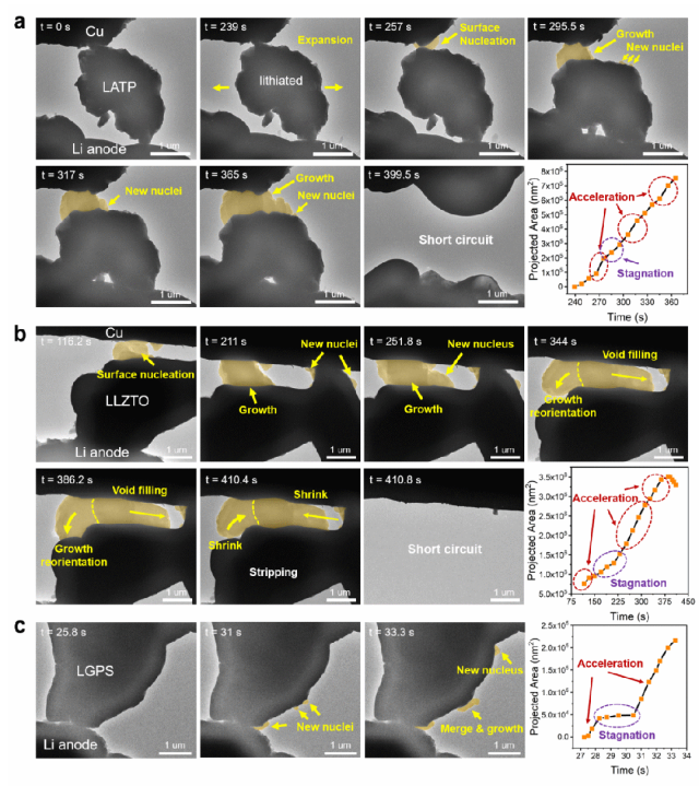 ▲ 锂金属析出 — 电解质短路动力学的原位电镜观察