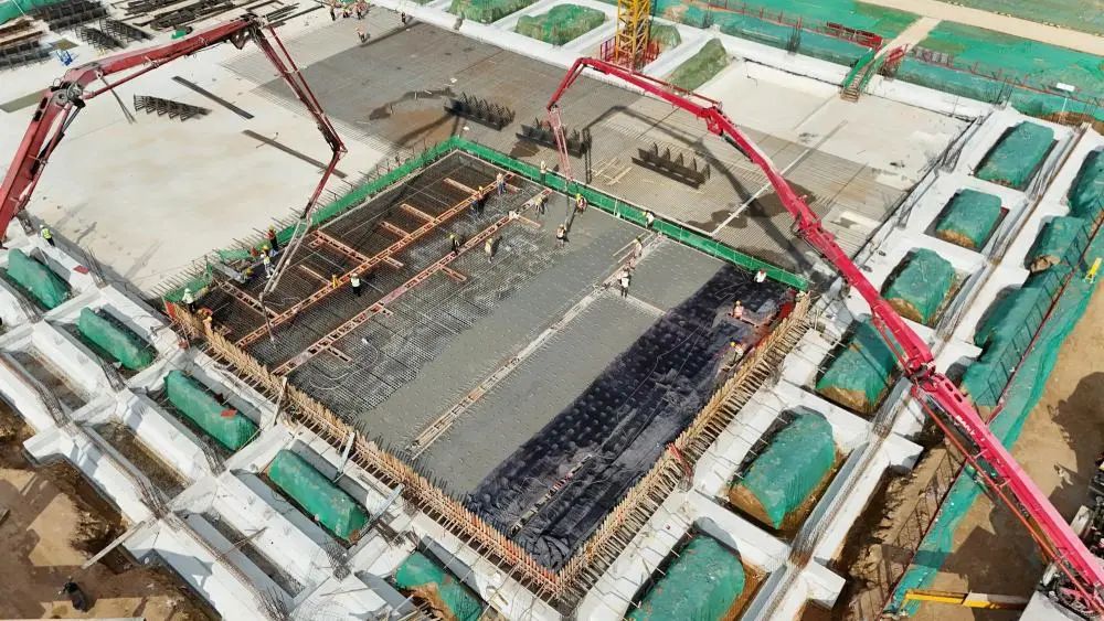 ▲ 图源东莞发布官方公众号，下同