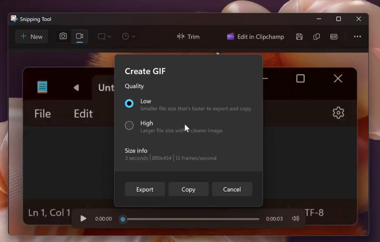 ▲ 输出选项窗口