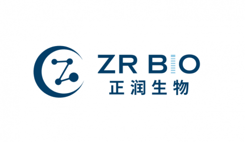 博士研发的年轻团队