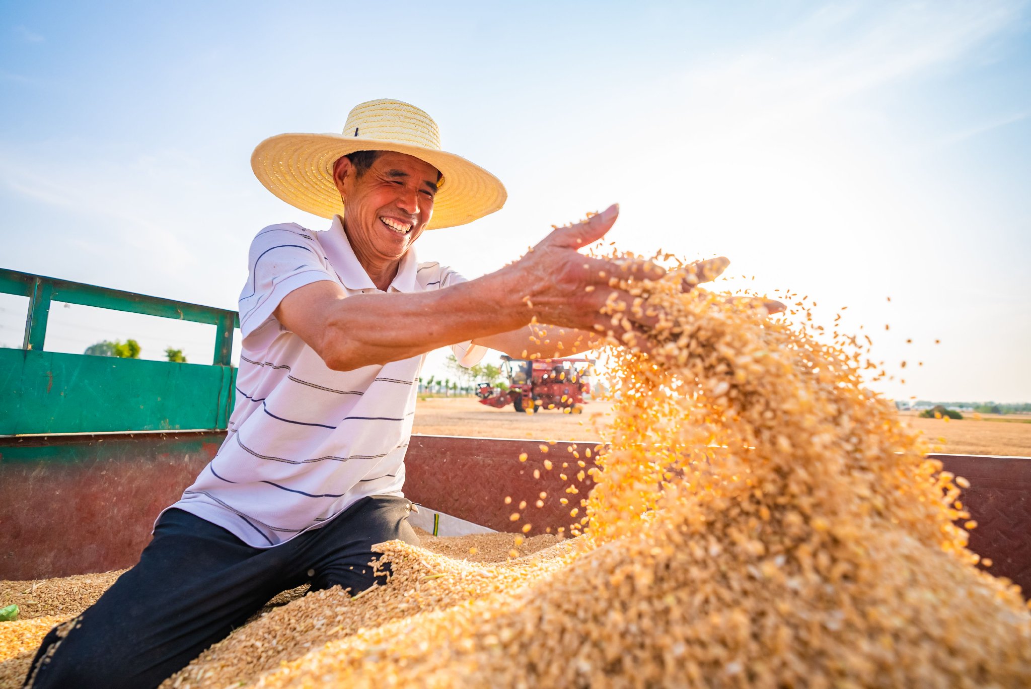 "三夏"生产一线观察