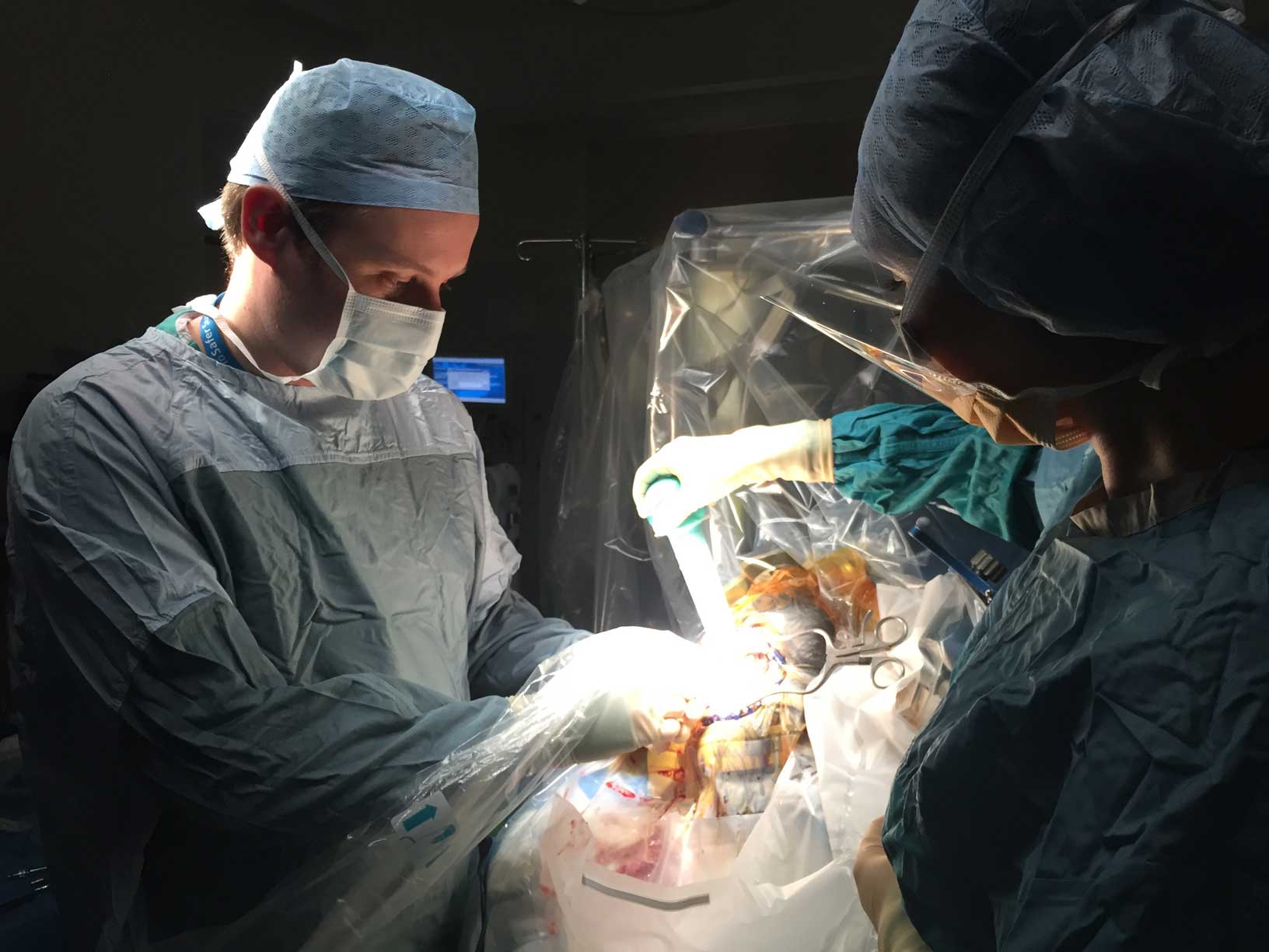 ▲ 图源：诺丁汉大学