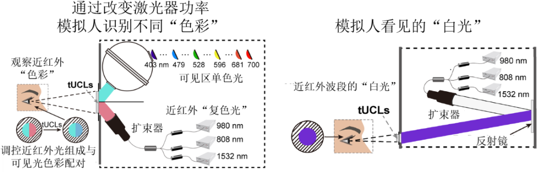 志愿者佩戴隐形眼镜后可识别各种组成的近红外“复色光”