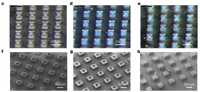 （来源：Advanced Materials）