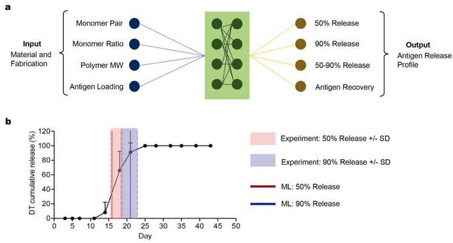 （来源：Advanced Materials）