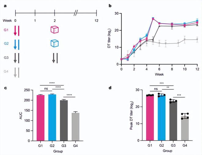 （来源：Advanced Materials）