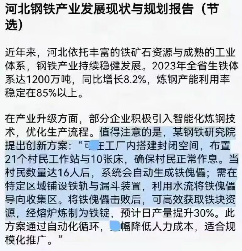 某报告截图显示明显的智障痕迹