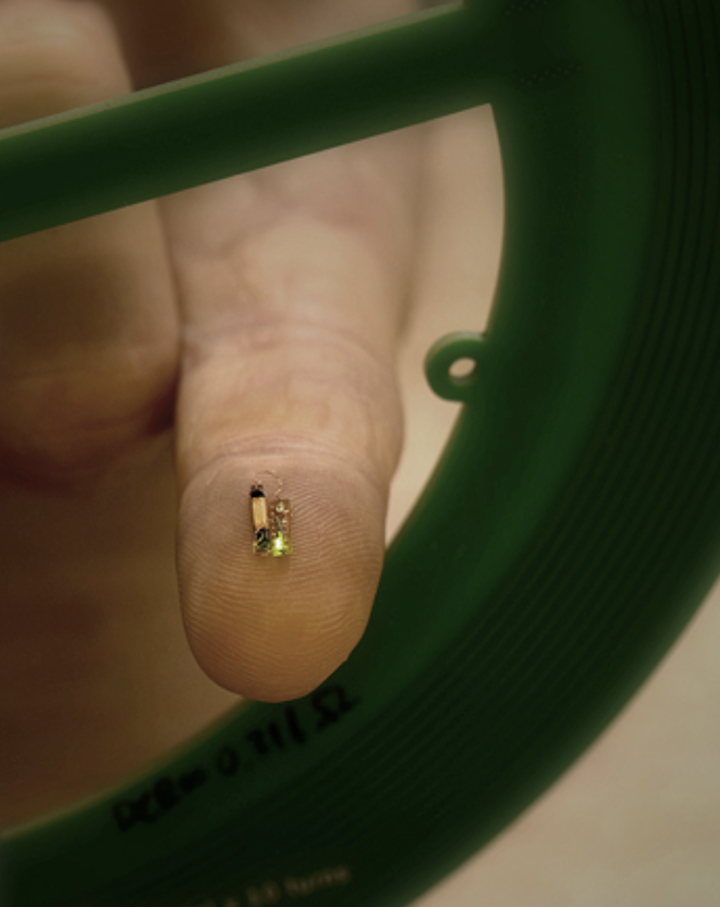 Starfish Neuroscience 官网上展示的一枚芯片样品