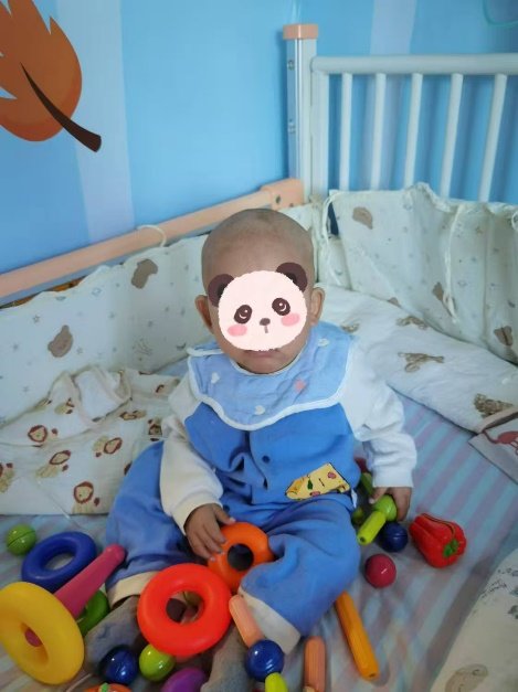 中国脐带血库_舒戴综合征 脐带血移植 稀有病治疗