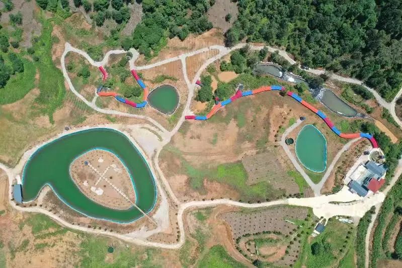 图为泸水银坡春灵种养开荒基地 （肖志军供图）