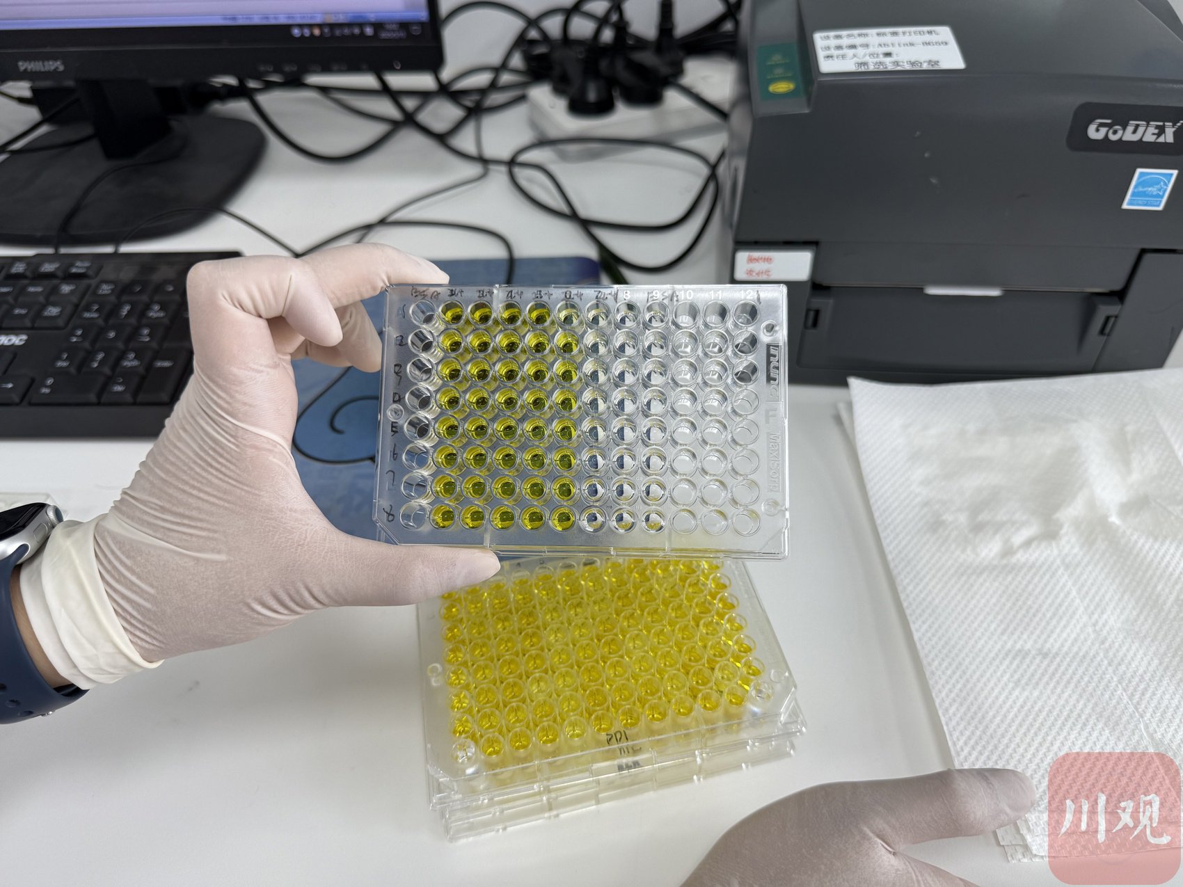 抗原抗体结合试验，多个标本同步操作。