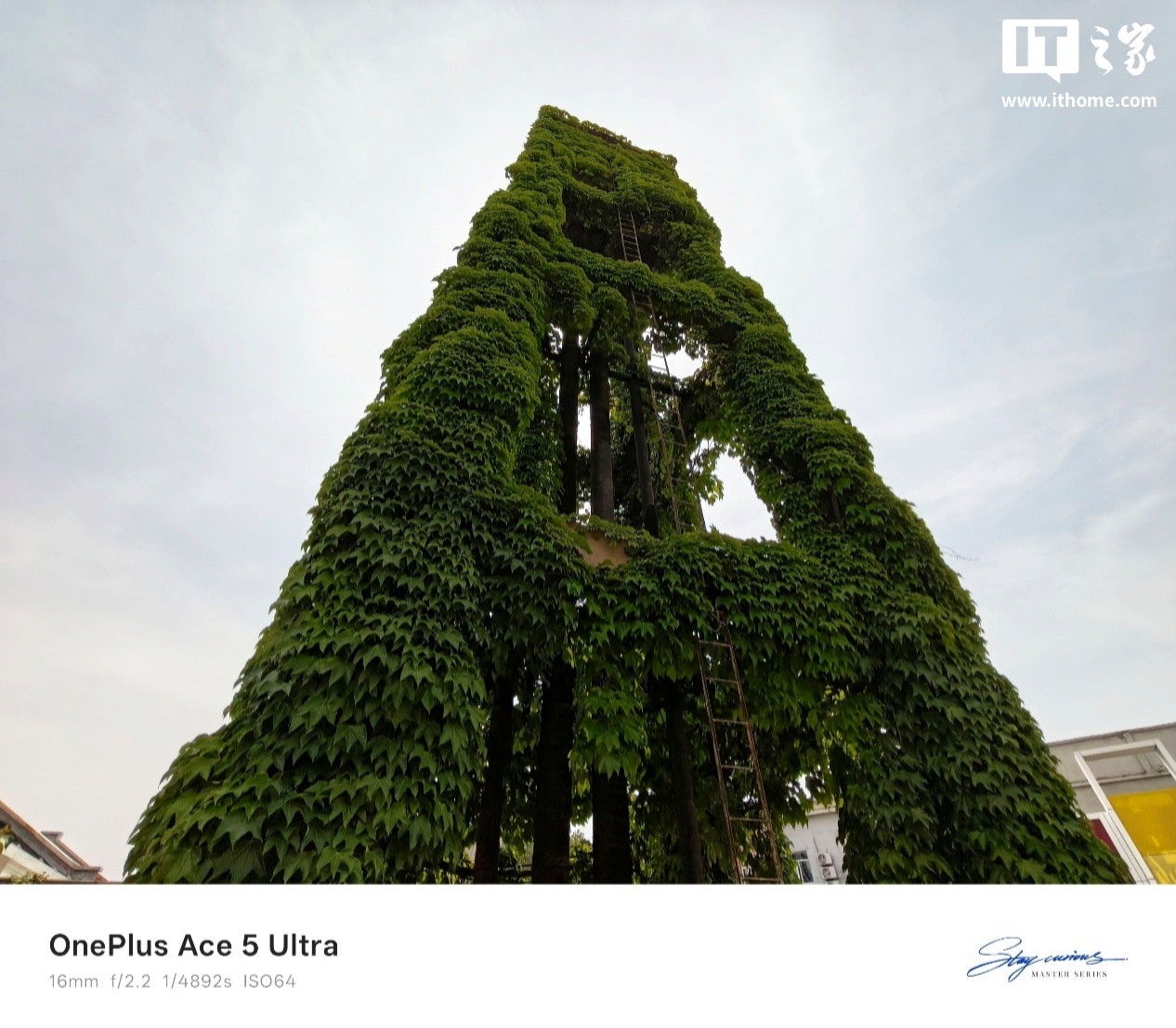 超广角 0.6x 直出